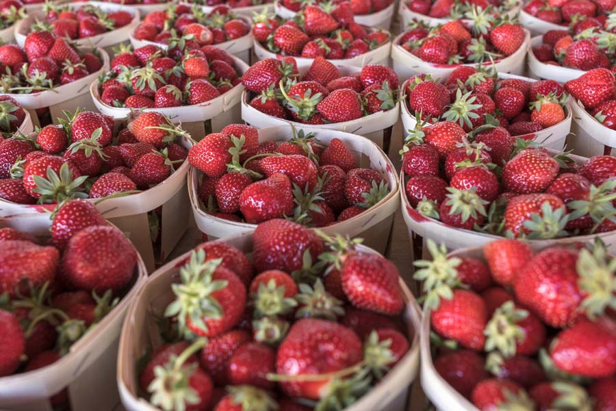 famille_bouillard_fraises