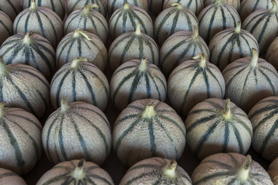 famille_bouillard_melons_b
